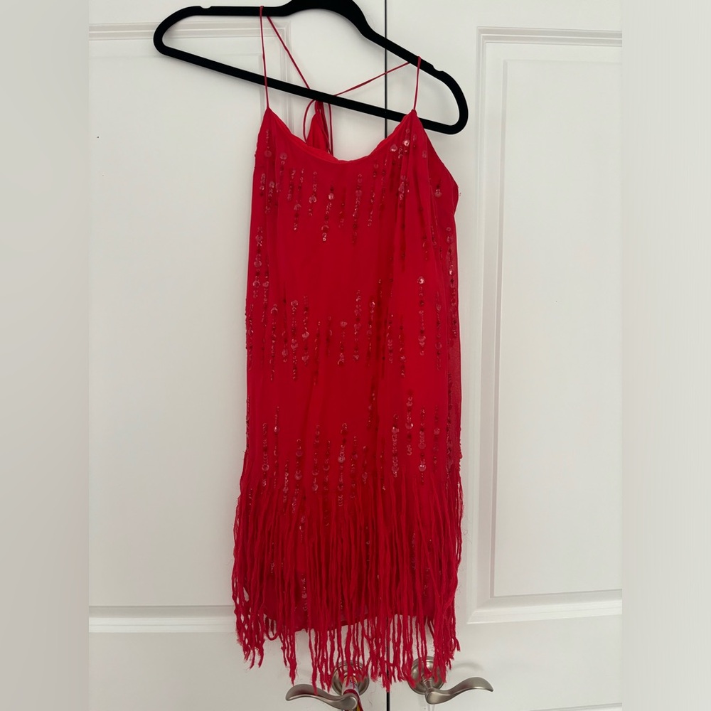 Free people sparkly fringe dress